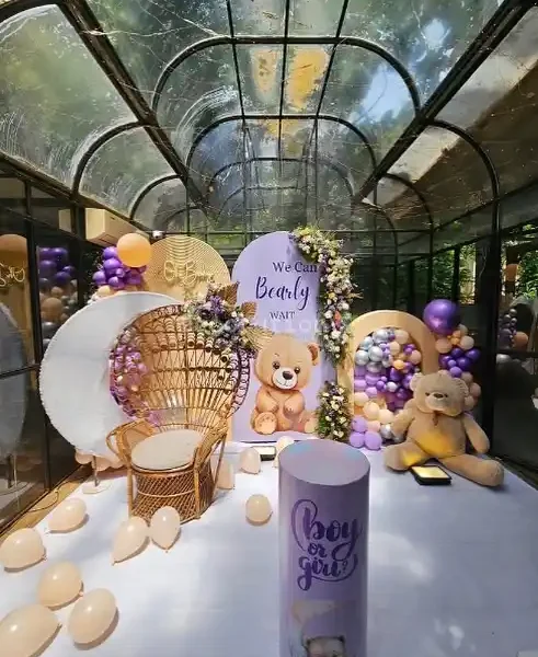 Heavenly Bear Gender Reveal Setup